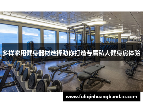 多样家用健身器材选择助你打造专属私人健身房体验