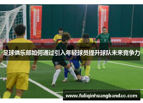 足球俱乐部如何通过引入年轻球员提升球队未来竞争力